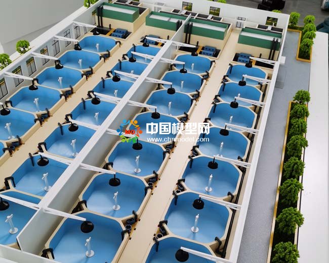 池塘膜箱循環(huán)水生態(tài)自凈養(yǎng)殖系統(tǒng)沙盤模型